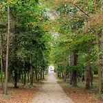 Rose Close To Vienna & Airport Daire