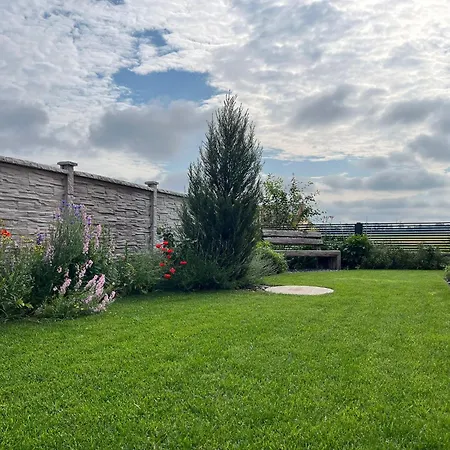 Rose Close To Vienna & Airport Maria Ellend