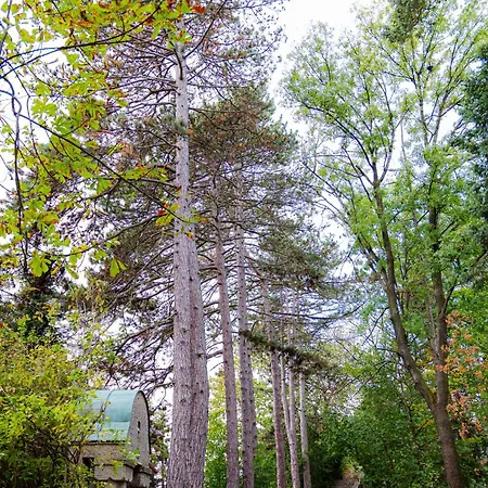 Rose Close To Vienna & Airport アパート *