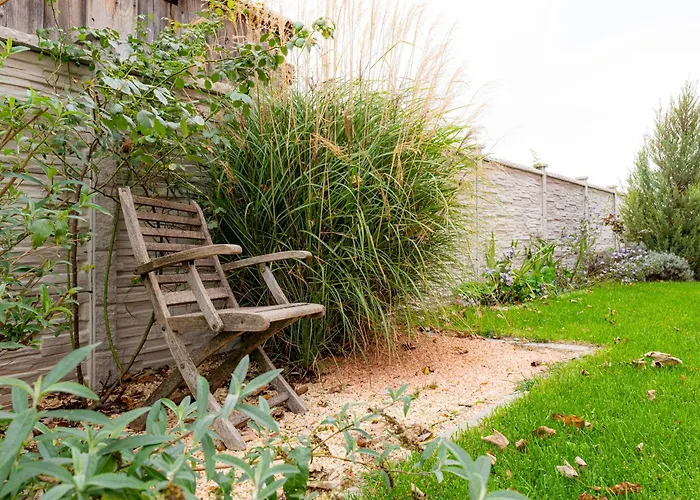 Rose Close To Vienna & Airport