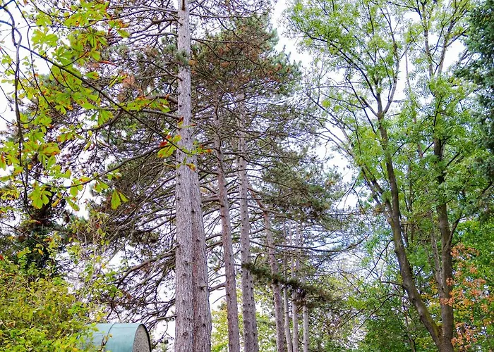 Rose Close To Vienna & Airport Apartament *